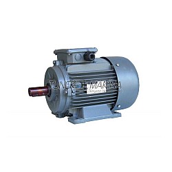 Tolon Ana Motor