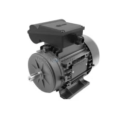 Tolon Ana Motor